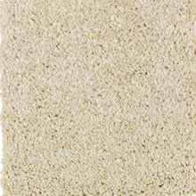 Load image into Gallery viewer, Ashland Grove|Crumb Cookie|BZ173-736 - Sample