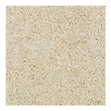 Load image into Gallery viewer, Tonal Chic I|Crumb Cookie|2N80-736 - Sample