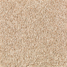 Load image into Gallery viewer, Beautiful Variety I|Beechnut|2N86-742 - Sample