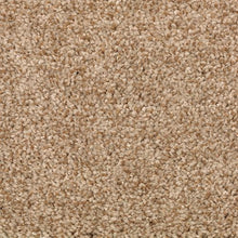 Load image into Gallery viewer, Austin Terrace|Warm Nutmeg|PG212-752 - Sample