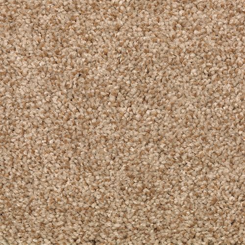 Austin Terrace|Warm Nutmeg|PG212-752 - Sample