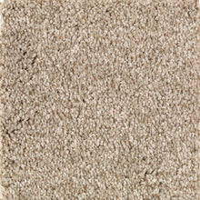 Load image into Gallery viewer, Ashland Grove|Crossroads|BZ173-776 - Sample