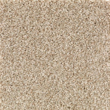 Load image into Gallery viewer, Ashland Grove|Kraft Paper|BZ173-777 - Sample