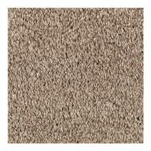 Load image into Gallery viewer, Neutral Shades I|Saddle Brown|2N88-786 - Sample