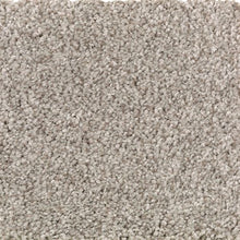 Load image into Gallery viewer, Austin Terrace|Taupe Illusion|PG212-819 - Sample