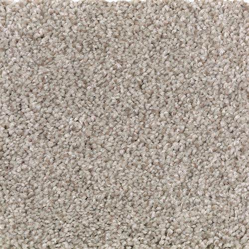 Beautiful Variety I|Taupe Illusion|2N86-819 - Sample