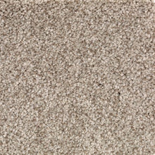 Load image into Gallery viewer, Austin Terrace|Corinthian|PG212-829 - Sample