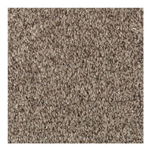Load image into Gallery viewer, Tonal Chic I|Truffle|2N80-839 - Sample