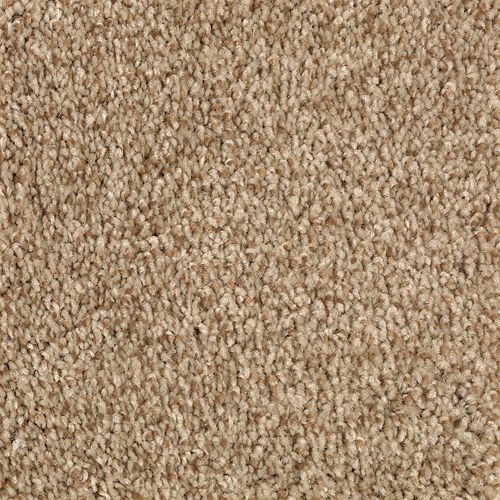 Austin Terrace|Wild Cattail|PG212-846 - Sample