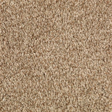 Load image into Gallery viewer, Beautiful Variety I|Wild Cattail|2N86-846 - Sample