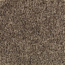 Load image into Gallery viewer, Austin Terrace|Party Mix|PG212-865 - Sample