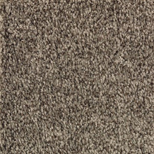 Load image into Gallery viewer, Amherst Gardens|Black Walnut|BP78A-869 - Sample