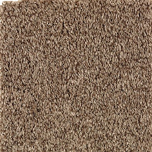 Load image into Gallery viewer, Ashland Grove|Highlander|BZ173-878 - Sample