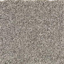 Load image into Gallery viewer, Amherst Gardens|Night Shadows|BP78A-957 - Sample