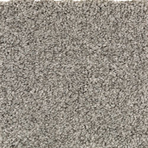 Ashland Grove|Night Shadows|BZ173-957 - Sample