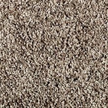 Load image into Gallery viewer, Bellflower Court|Dried Peat|LR235-859 - Sample