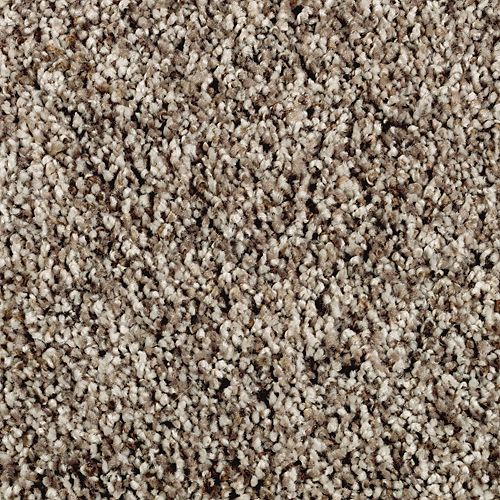 Bellflower Court|Dried Peat|LR235-859 - Sample