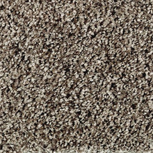 Load image into Gallery viewer, Katherine Road|Sand Dollar|BZ183-848 - Sample