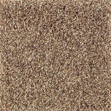 Load image into Gallery viewer, Nature's Luxury I|Worn Leather|2P10-543 - Sample