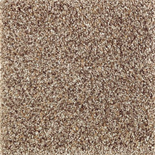 Load image into Gallery viewer, Nature's Luxury I|Grey Hearth|2P10-550 - Sample