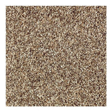 Load image into Gallery viewer, Earthly Elegance II|Cobble Path|2P13-546 - Sample