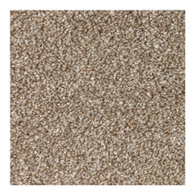 Load image into Gallery viewer, Gentle Strength I|Americana|2P53-781 - Sample