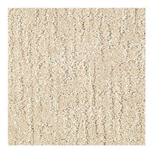 Load image into Gallery viewer, Cromwell Station|Sand Dollar|BP88A-517 - Sample
