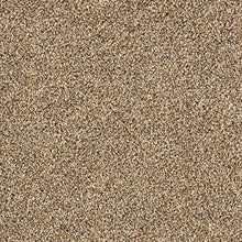 Load image into Gallery viewer, Upscale Living|Homespun|2Q02-9849 - Sample