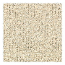 Load image into Gallery viewer, Distinctive Nature|Sand Dollar|2P43-517 - Sample