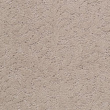 Load image into Gallery viewer, Graceful Allure|Hillside Sand|2R47-9809 - Sample