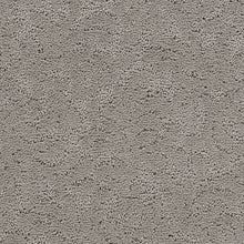 Load image into Gallery viewer, Elegant Tracery|Alley Cat Grey|70928-3947 - Sample