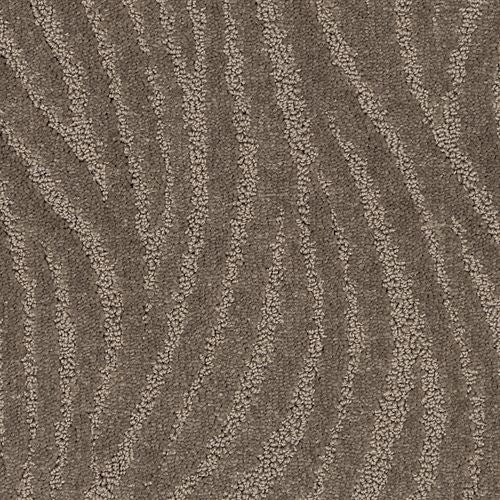 Apparent Taste|Bison|2S71-522 - Sample