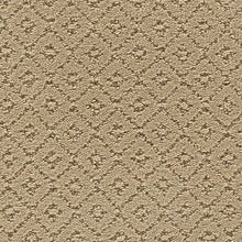 Load image into Gallery viewer, Elite Class|Persian Silk|2S52-512 - Sample