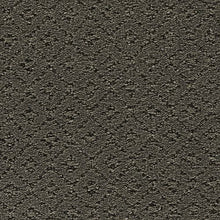 Load image into Gallery viewer, Elite Class|Shadow|2S52-513 - Sample
