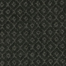 Load image into Gallery viewer, Remarkable Elegance|Raven|2S48-519 - Sample