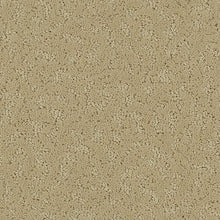 Load image into Gallery viewer, Amazing Scene|Fragile Beauty|2S62-504 - Sample