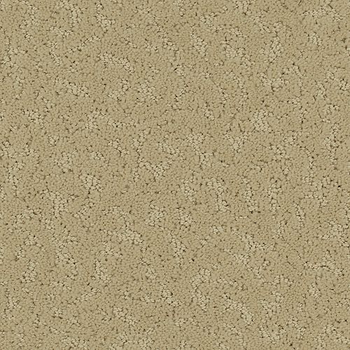 Amazing Scene|Fragile Beauty|2S62-504 - Sample