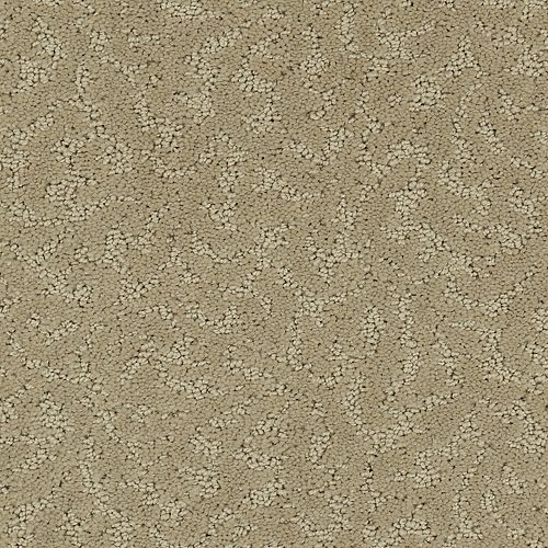 Amazing Scene|Thoughts Of Home|2S62-502 - Sample