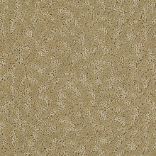 Load image into Gallery viewer, Amazing Scene|Seashell|2S62-503 - Sample