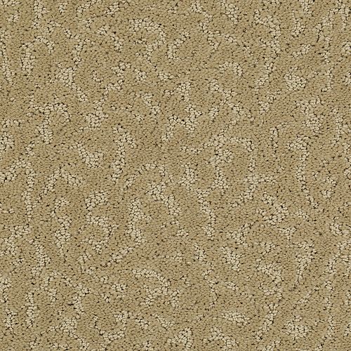 Amazing Scene|Seashell|2S62-503 - Sample