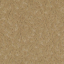 Load image into Gallery viewer, Amazing Scene|Homegrown|2S62-510 - Sample