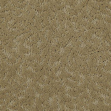 Load image into Gallery viewer, Amazing Scene|Rococo Beige|2S62-517 - Sample