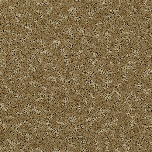 Amazing Scene|Sahara Sands|2S62-524 - Sample