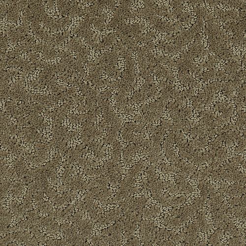 Amazing Scene|Folkstone|2S62-515 - Sample