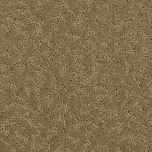 Load image into Gallery viewer, Amazing Scene|Light Maple|2S62-516 - Sample