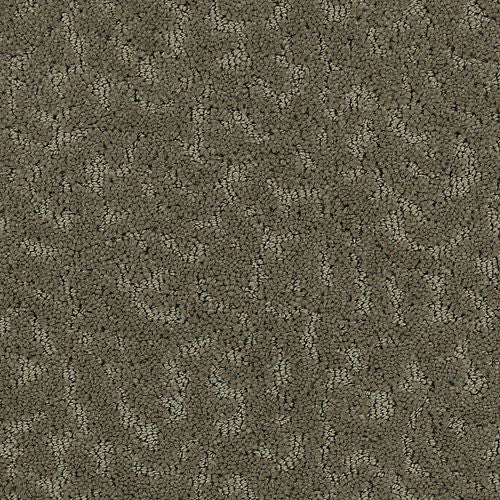 Amazing Scene|Dust Bowl|2S62-514 - Sample