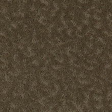 Load image into Gallery viewer, Amazing Scene|October Leaves|2S62-522 - Sample