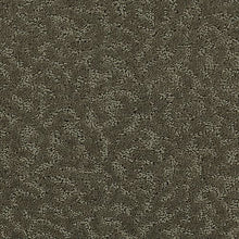 Load image into Gallery viewer, Amazing Scene|Bison|2S62-521 - Sample