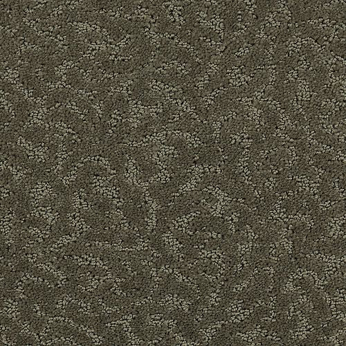 Amazing Scene|Bison|2S62-521 - Sample