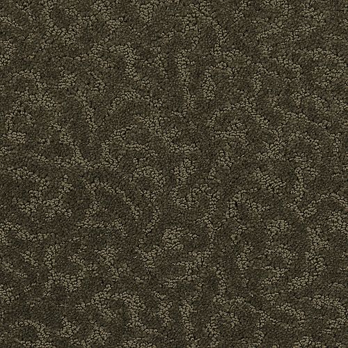 Amazing Scene|Cocoa |2S62-520 - Sample